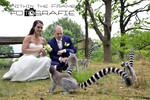 Trouwfoto's/ Wedding photo's